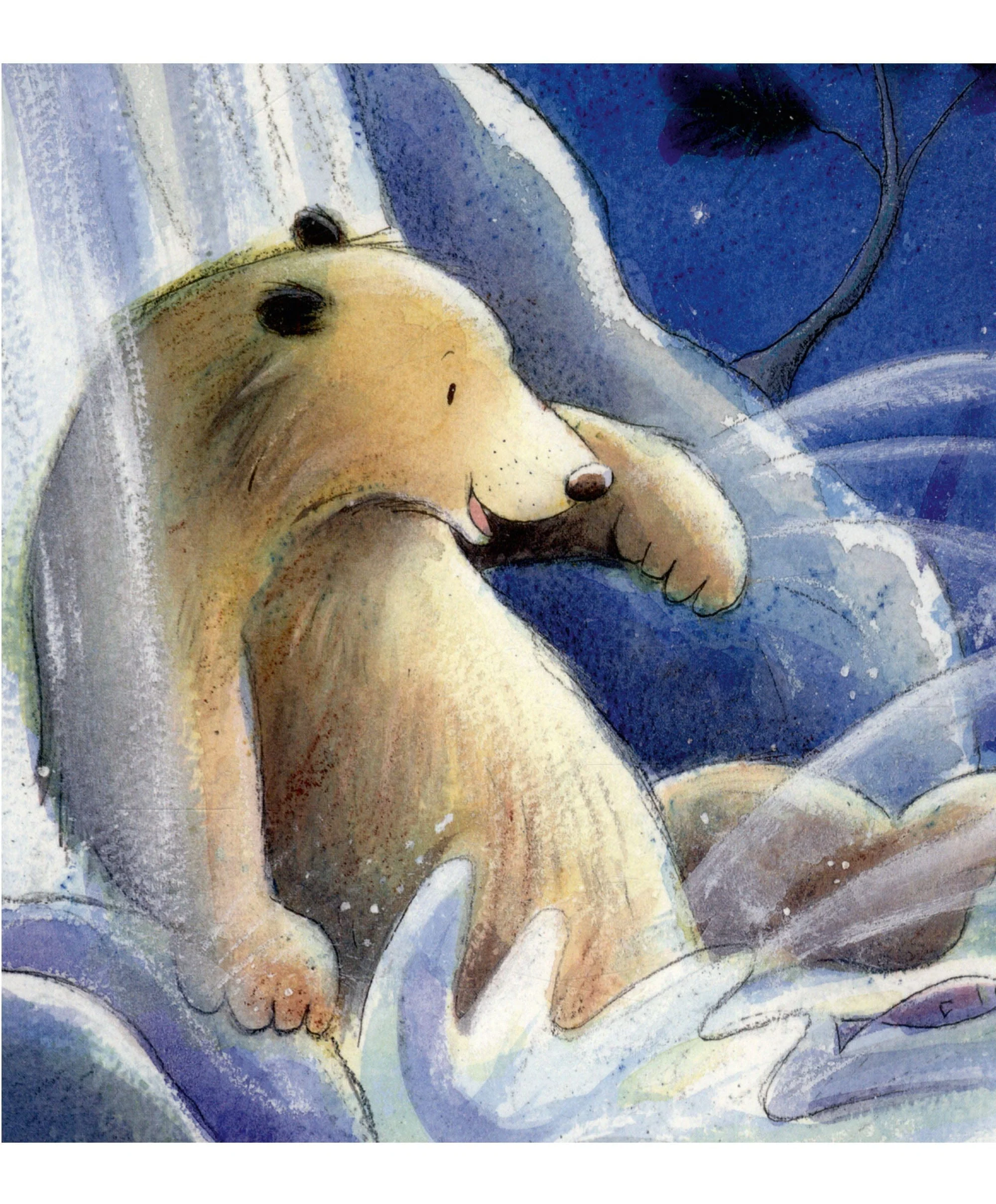 Moon and Back Board Book - Image 2